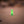 Nano S (Glow In The Dark) - 3 Pack